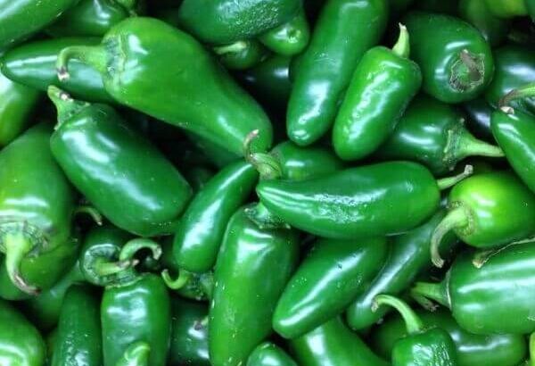 Buy Chilli Seeds Jalapeno NZ