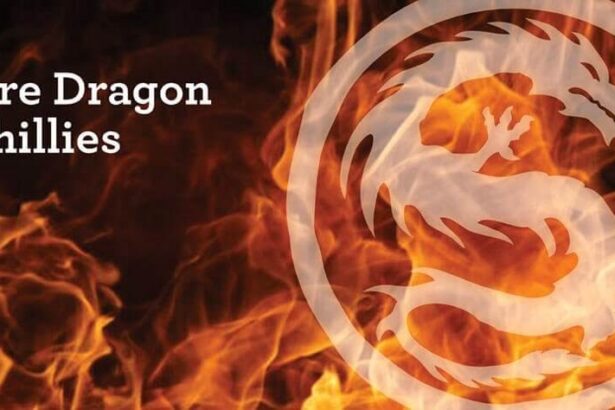 Fire Dragon Chillies